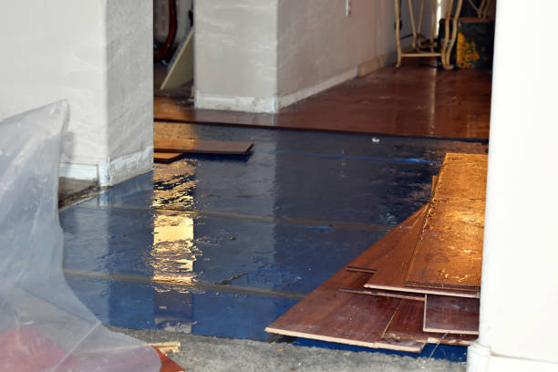 Professional Emergency Water Damage Restoration technician working in Battle Ground, WA